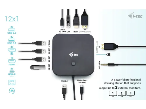 USB-C HDMI Dual DP Docking Station with Power Delivery 100 W