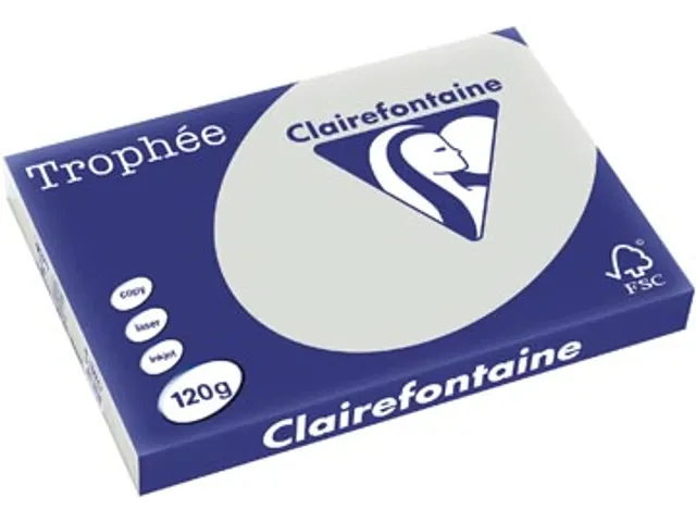 Trophée Pastel gekleurd papier A3 120 gram 250vel Lichtgrijs