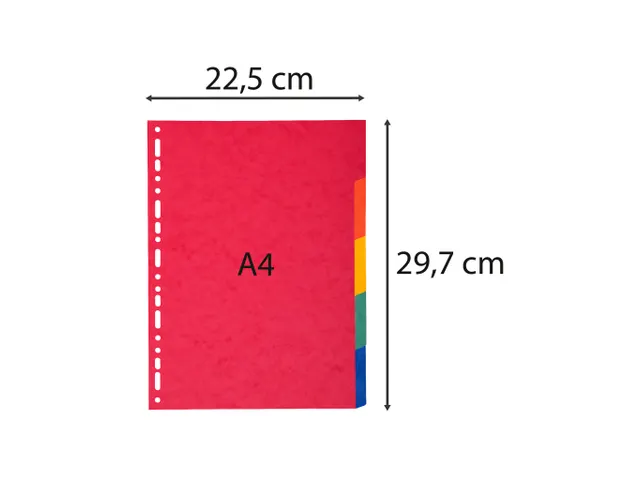 Tabbladen glanskarton 225g 5-delig A4 Assorti