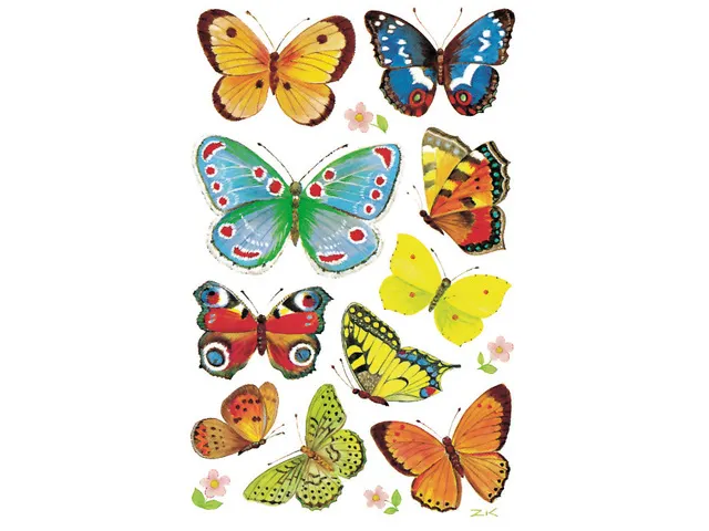 papieretiket Z-design Creative pakje a 3 vel vlinders
