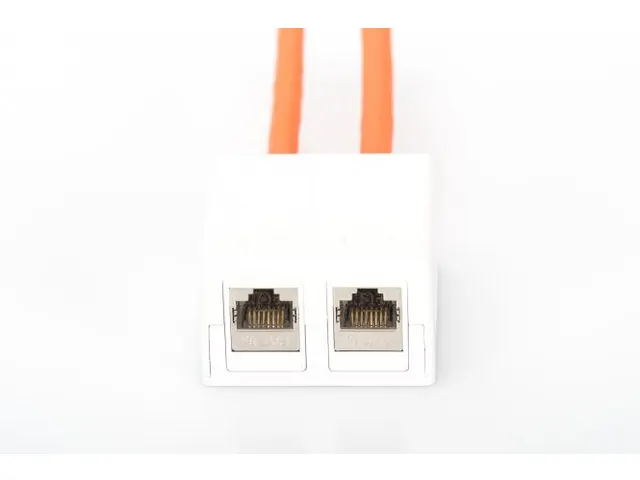 Consolidatiepuntbehuizing voor 2x Keystone modules Wit 2-Poorts