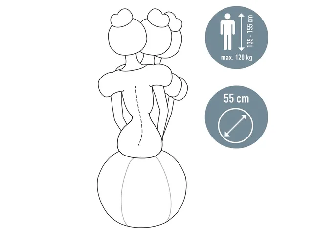 Ballon d'assise Leitz Ergo anti-basculement 55cm gris foncé