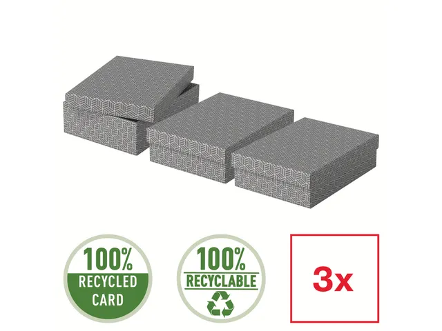 Esselte Home Middelgrote Opberg-en Geschenkdoos Grijs Set van 3