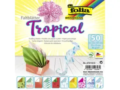 Vouwblaadjes Folia 80gr 15x15cm 50 vel 2-zijdig 10 tropical designs