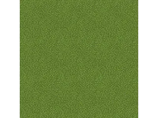 scheidingswand,HxB 1545x800mm,NP-tiepolo nut,BN7048-groen - 3