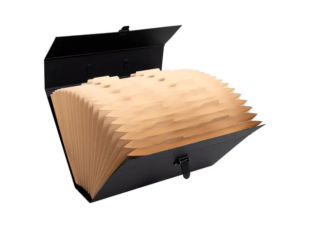 Sorteermap m/handvat 20 vak geass..