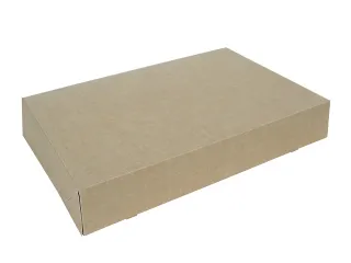Cateringdoos IEZZY 46cm plasticvrij bruin 10 stuks - 2