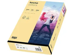 Inapa Tecno colors Gekleurd papier A4 Chamois 160 gram 250vel