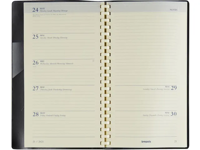 Notaplan Seta bordeaux 2026