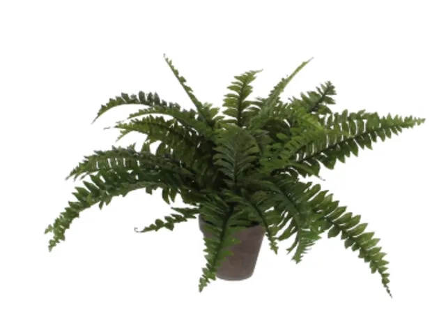Kunstplant Mica Boston varen groen in pot 42x50cm
