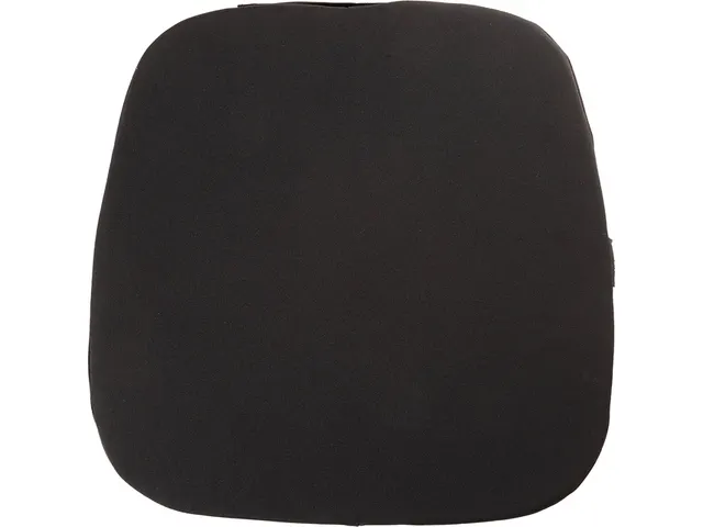 Stoelkussen Fellowes Breyta Comfort zwart