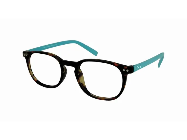 Leesbril I Need You +2.50 dpt Junior Selection bruin-turquoise