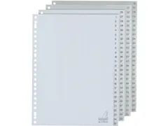 Tabbladen Kangaro A4 23-Gaats G4100CM 1-100 Genummerd Grijs Pp