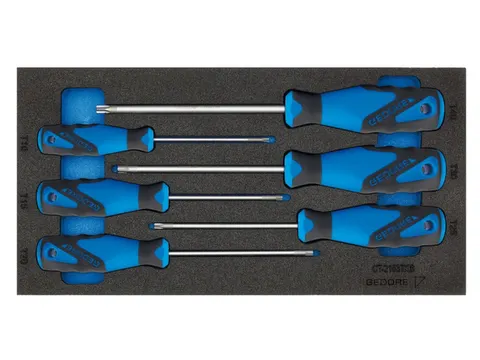 1500 CT1-2163 Tournevis TXB dans le module Check-Tool