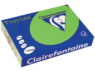Trophée Intens gekleurd papier A4 160 gram 250vel Grasgroen - 1