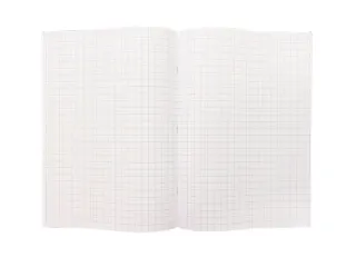 Schrift Kangaro A4 ruit 10mm 160 pagina's 60gr assorti pak à 5 stuks - 11