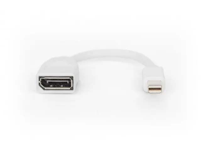 DisplayPort-adapterkabel type mini DP DP Male/Female 0,15m UHD 4K Wit