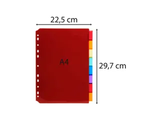 Tabbladen PP A4 8 tabs personalis. - 8