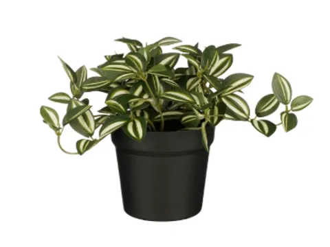 Kunstplant Mica Tradescantia in pot groen 16x16cm