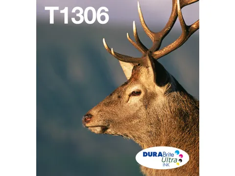 Multipack 3-colours T1306 DURABrite Ultra Ink EasyMail