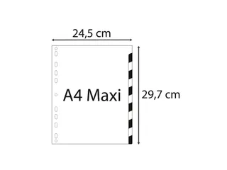 Bedrukte Tabbladen A4+ Jan-dec Assorti Pp 0.12mm 12-delig 11-gaats(FR) - 8