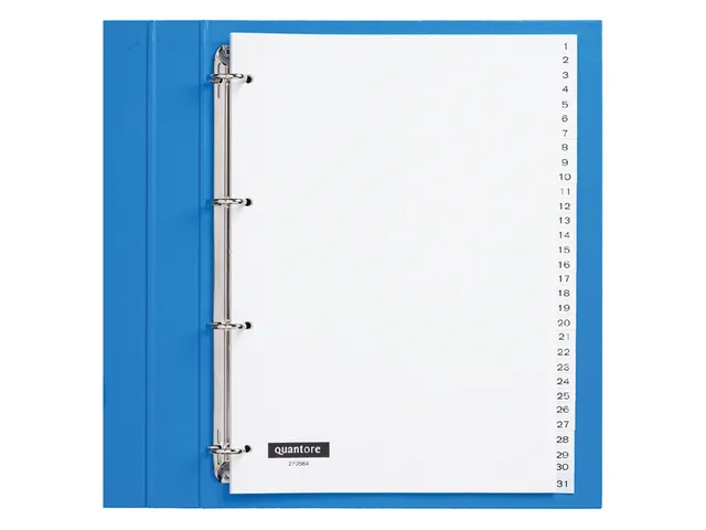 Tabbladen Quantore A4 4-Gaats 1-31 Genummerd Wit Pp