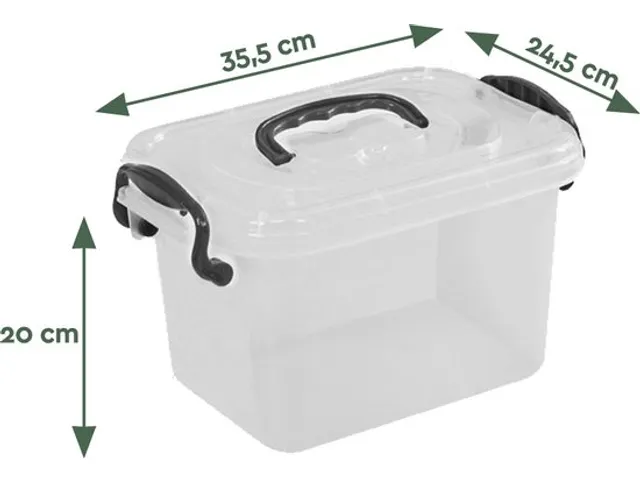Boîte de rangement 11 litres SB11 3 pièces