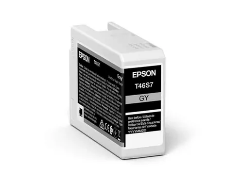Epson Origineel Inktcartridge UltraChrome Pro 10 C13T46S700 Grijs