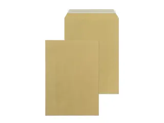 Envelop Raadhuis 229x324mm C4 akte plakstrip kraft 110gr 250 stuks in - 1