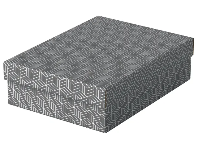 Esselte Home Middelgrote Opberg-en Geschenkdoos Grijs Set van 3