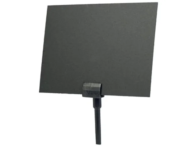 Pique pour ardoise 5x1,1cm Paquet 20 pièces