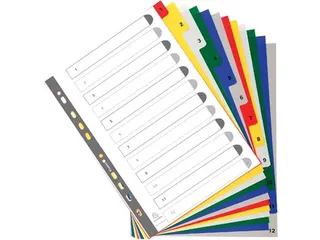 Exacom Tabbladen A4 Pp 12-delig 11-gaats Assorti - 2