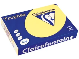 Trophée Pastel gekleurd papier A4 80 gram 500vel Citroengeel - 1