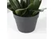 Kunstplant Mica Phalaenopsis orchidee wit in plastic pot 79x51cm