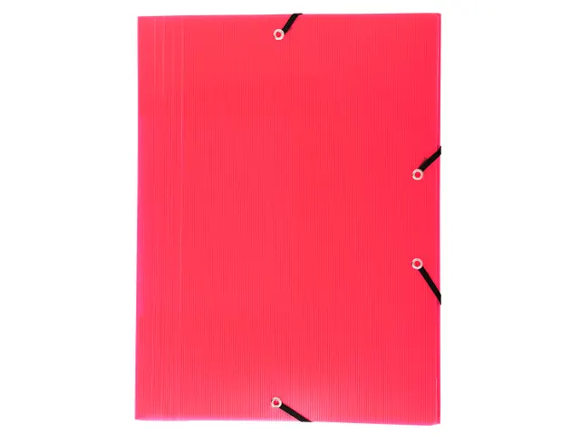 Exacompta Elastomap Linicolor PP A4 Assorti