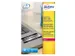 Inventaris etiketten Avery L6013-20 A4 210x297mm Zilver 20 stuks