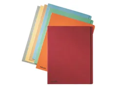 Inlegmap A4 Esselte Met Overslag Zijkant Groen