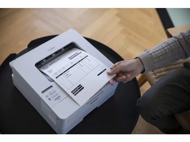 Printer Laser Brother HL-L2865DW