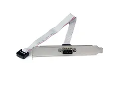 40cm 9-pins Serieel Mannelijk naar 10-pins Moederbord Slotplaatje