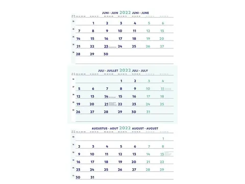 Driemaandskalender, Wandmodel, 300 x 600 mm, 4 talen, 2022