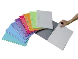 Schrift Adoc A4 ruit 5x5mm 144 pagina's 90gr assorti