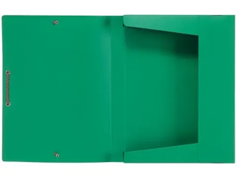 Elastobox Groen 25x33cm 30mm PP