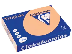 Trophée Pastel gekleurd papier A4 160 gram 250vel Zalm roze