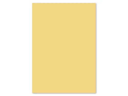 Papier Kangaro A4 120grs donkerchamois pak 100 vel