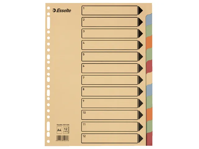Tabbladen Esselte Premium A4 12-delig karton 23-rings assorti