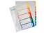 Esselte Pc Printbaar Project Indexen A4+ 11-Gaats 5-Delig Assorti