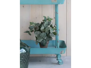 Kunstplant Mica Pilea in pot Ø11,5cm 35x25cm - 3