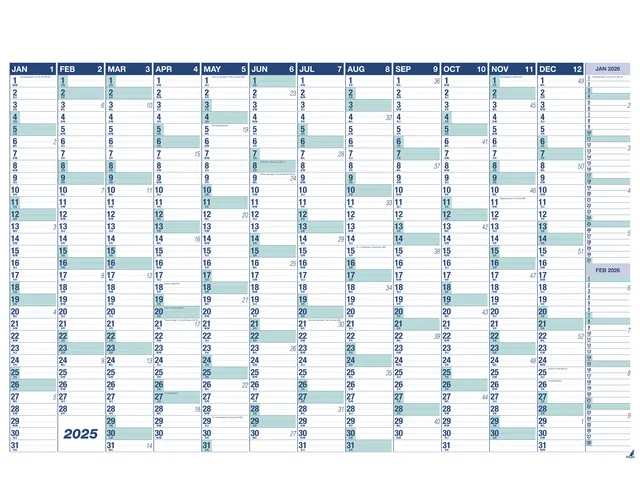 Muurplanner Kangaro 2025 NL/FR uitwisbaar 70x100cm met gratis marker e