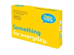 Kopieerpapier A4 4-Gaats Datacopy 80 Gram Wit Pallet