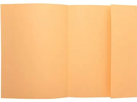 Exacompta Dossiermap A4 Jura 250 Ivoor